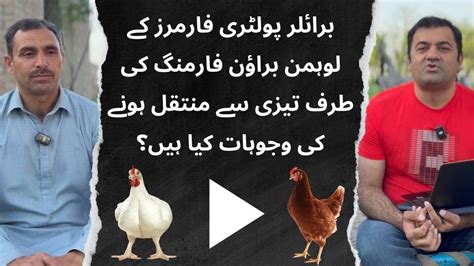 What Are The Reasons Of Rapidly Shifting Of Broiler Poultry Farmers