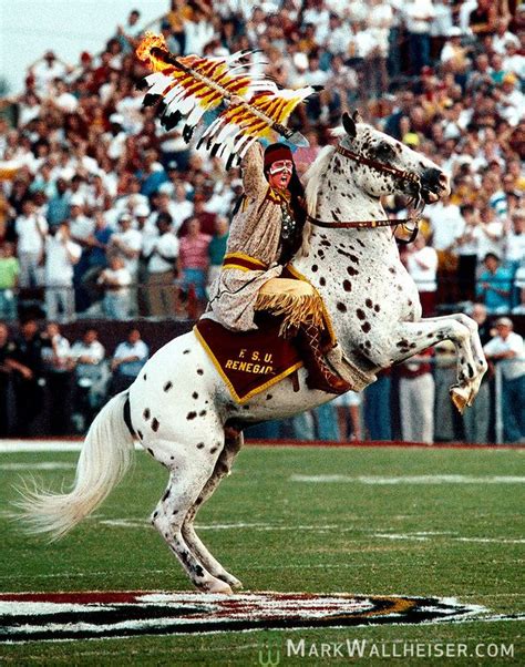 florida state mascot pictures | Chief Osceola atop Renegade at mid ...