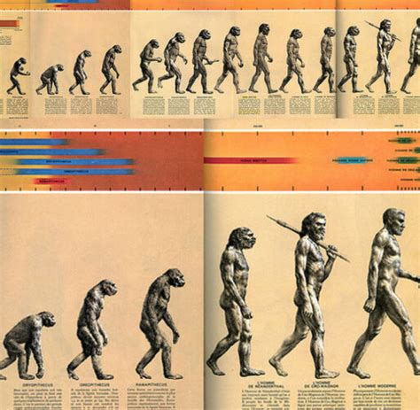 La Evolución Del Hombre Teoría De Darwin En Detalle Talayots