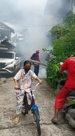 Rumahku Di Fogging Biar Nyamuknya Pergi Dek Enny Kabur Ke Rumah Galon