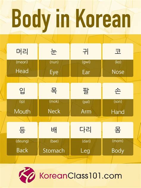 Korean Worksheets For Beginners Pdf Worksheeta