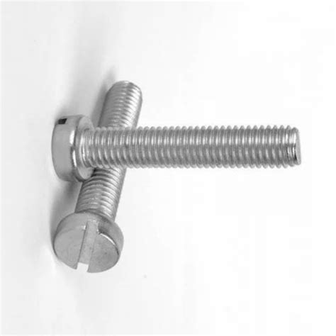 Stainless Steel Cheese Head Screws At Rs Piece Stainless Steel