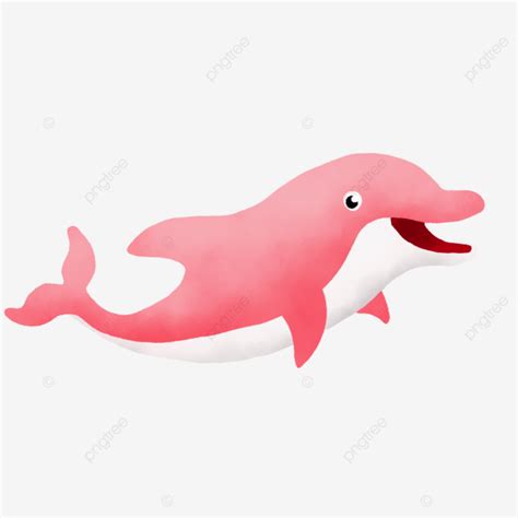 Dibujos Animados De Delfines Rosados Para Ni Os Png Dibujos Delf N