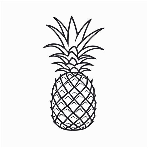 Premium Vector Pineapple Drawing Silhouette Outline Illustration