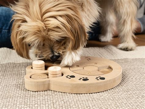 Intelli Intelligenzspielzeug F R Hunde In Tatzenform Aktivspielzeug