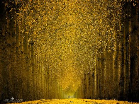 Cycle In Gold Photo By Landscape Photography By Lars Van De Goor Dslr