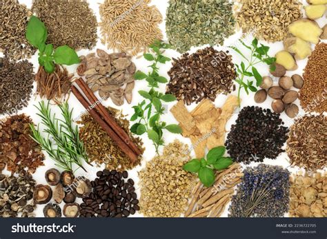 Nervine Food Herbal Medicine Large Collection Stock Photo 2236722705