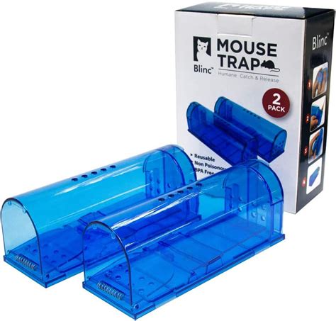 Humane Mouse Trap Review Mousedomsday