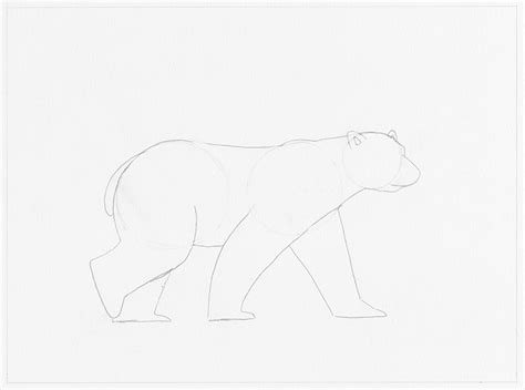 Descubre C Mo Dibujar Un Oso Polar En Este Tutorial Paso A Paso