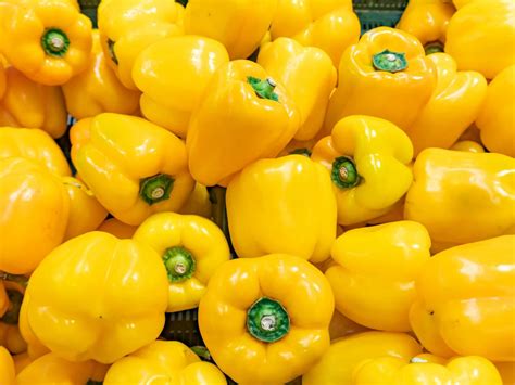 Yellow Bell Peppers Seeds Organic Non Gmo Heirloom | Etsy