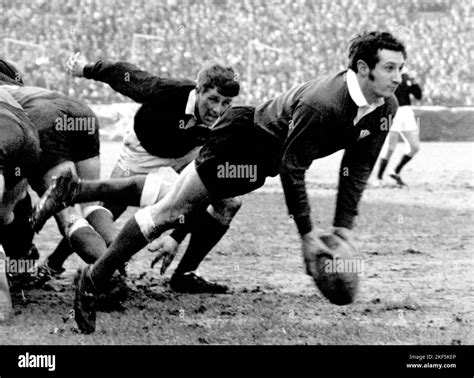 Wales scrum half Gareth Edwards feeds his backs Stock Photo - Alamy