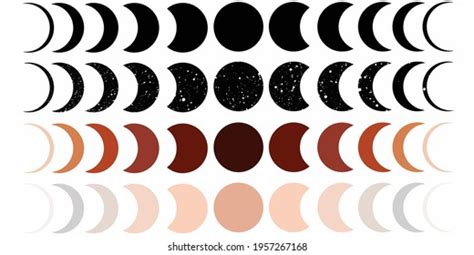 Phases Moon Vector Set Illustration Walls Stock Vector (Royalty Free ...