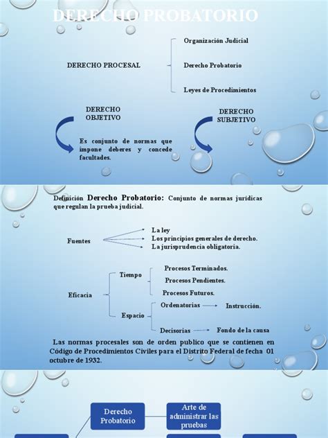 Derecho Probatorio Prueba Pdf Evidencia Ley Caso De Ley