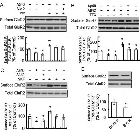 Aβ peptides decrease cell surface GluR2 whereas nifedipine SKF and