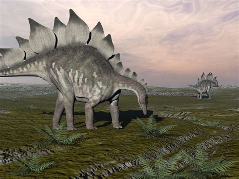 10 Facts About Stegosaurus You Might Not Know