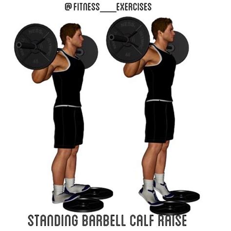 Standing Barbell Calf Raise Exercise