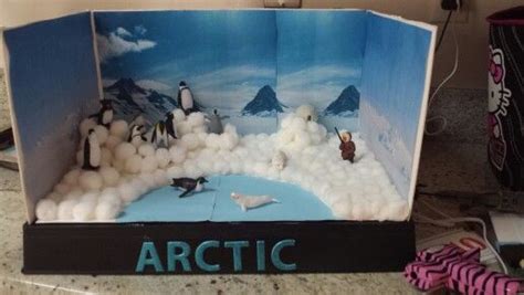 Arctic Diorama | Biomes Project