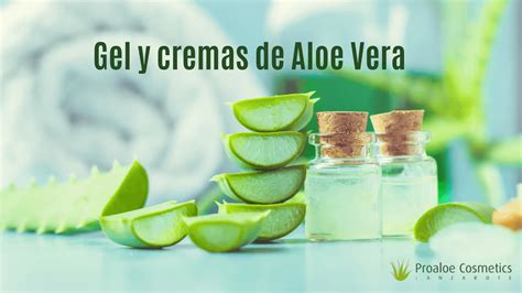 Aloe Vera En La Cara Antes Y Despues IFaWorldCup