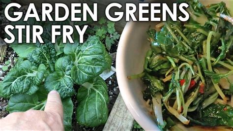 How I Cook Asian Garden Greens Black Gumbo YouTube