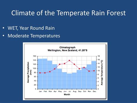 Ppt Temperate Rain Forest Powerpoint Presentation Free Download Id