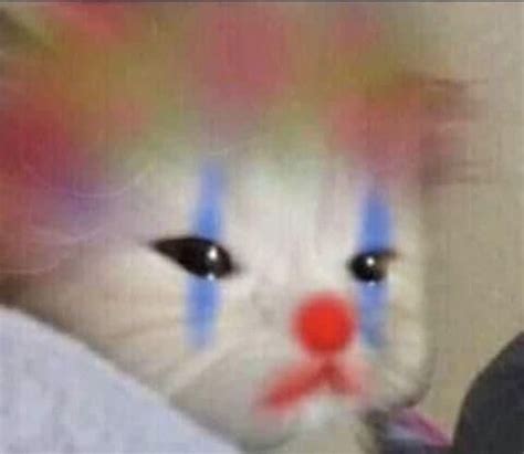 A White Cat With Blue And Red Stripes On It S Face