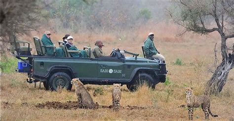 South Africa Safari: Kruger Park vs Sabi Sands | GILTEDGE