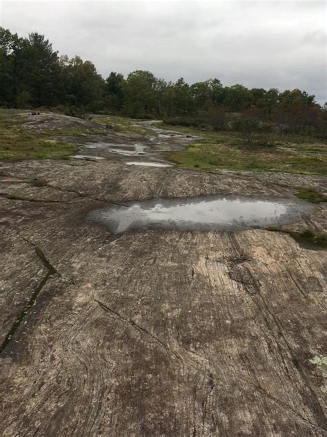 Torrance Barrens Weather 14 Day at Anthony Brunet blog