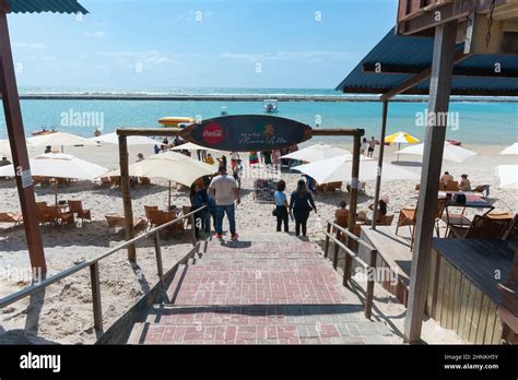 Ipojuca Pe Brazil October View From The Bar Da Praia Muro