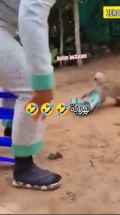 مقلب مضحك جدا🤣🤣 Youtube