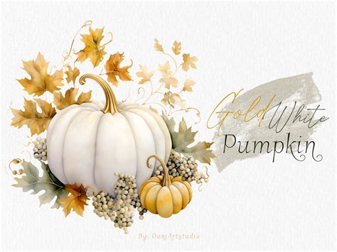 Watercolor White Pumpkin Clipart White Gold Pumpkin Clipart