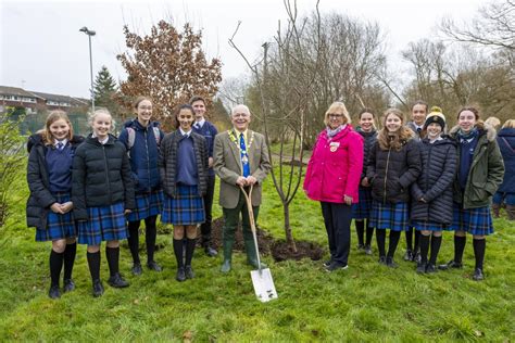 Jubilee Tree Planting Farnham Heath End School - Farnham Town Council