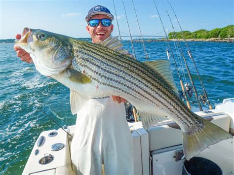 How To Fish For Wahoo Salt Water Sportsman