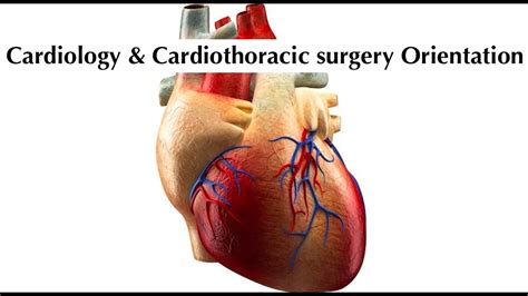 Cardiology And Cardiothoracic Surgery Orientation Youtube