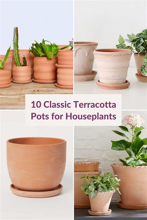 13 Classic Terracotta Pots For Houseplants You Ll Love