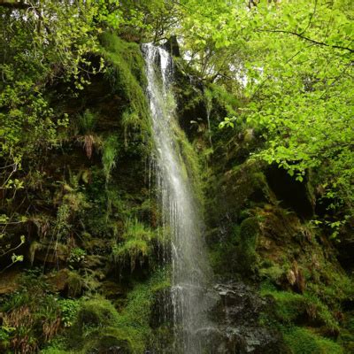 Goathland Waterfalls Circular Walk Preview June 2024 by Tea Talk with ...