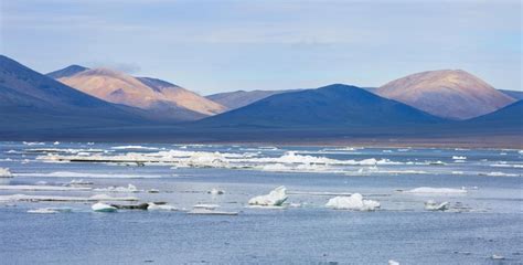 Five New Islands Are Discovered In The Arctic The Northern Forum