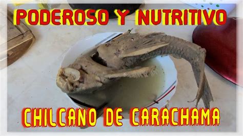 CÓMO PREPARAR EL MEJOR Y NUTRITIVO CHILCANO DE CARACHAMA YouTube