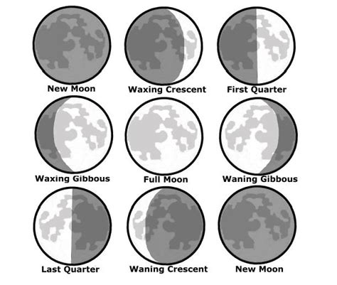 Moon Phase Chart