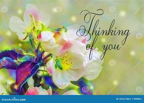 Thinking of You - Card. Apple Tree Flowers Close-up Stock Image - Image ...