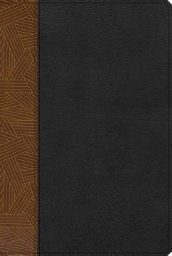 Rvr 1960 Biblia de Estudio Arcoiris Tostado Negro Símil Piel bei