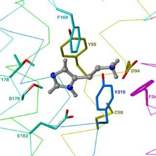 Putative Binding Mode Of Histamine At The Hh R Based On A