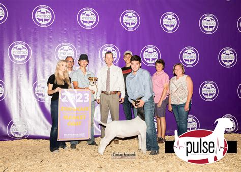 Michigan Livestock Expo Market Goats Top 8 The Pulse