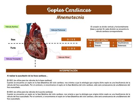 Soplos Cardiacos Andy Gonzalez Udocz