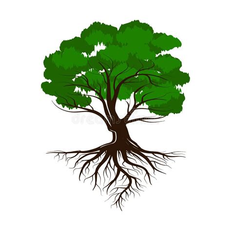 Oak A Green Life Tree With Roots And Leaves Vector Illustration Icon