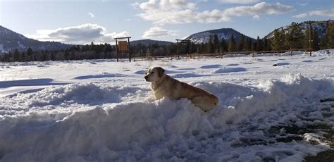 Sierra Meadows Ranch | Hotel Cabins Mountain Views, Walk to Town