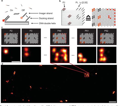 Figure From Dna Barcoded Labeling Probes For Highly Multiplexed