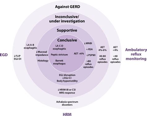 Figure 1 From Diagnosis And Management Of Refractory Gastroesophageal Reflux Disease Semantic