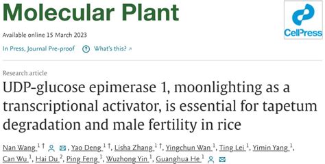 西南大学水稻研究所近期连续在植物学领域国际重要期刊揭示水稻雄性不育调控的新机制澎湃号·政务澎湃新闻 The Paper