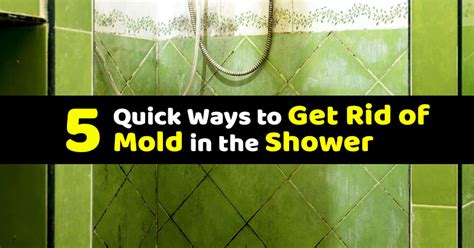 5 Great DIY Recipes to Fight Stubborn Household Mold : The Hearty Soul