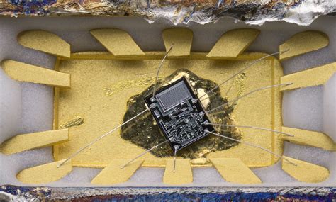 AMD AM211